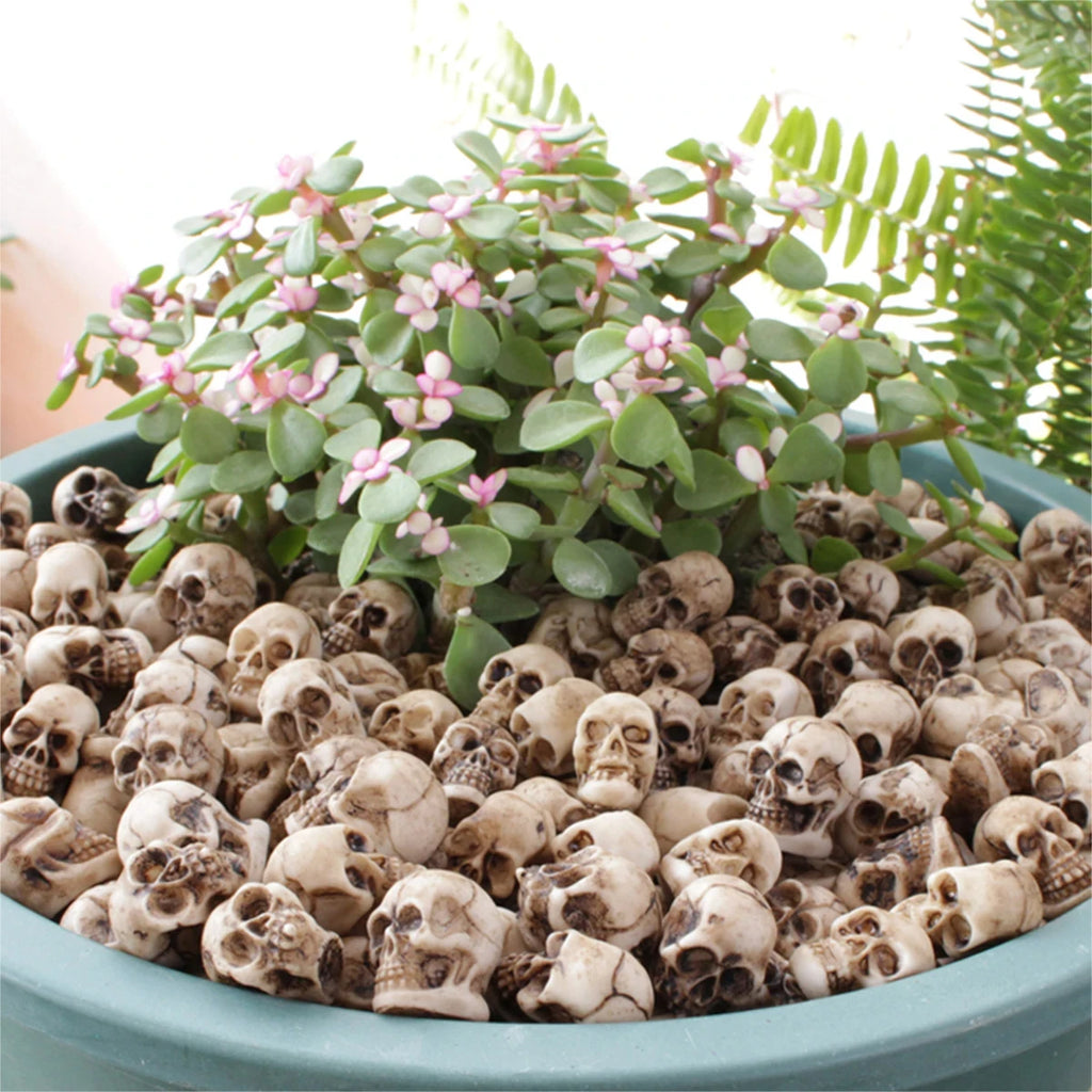 20Pcs Mini Skull Figure Collectable Halloween Miniature Skulls Heads Creative Festival Theme Landscape Garden Potted Plant Decor